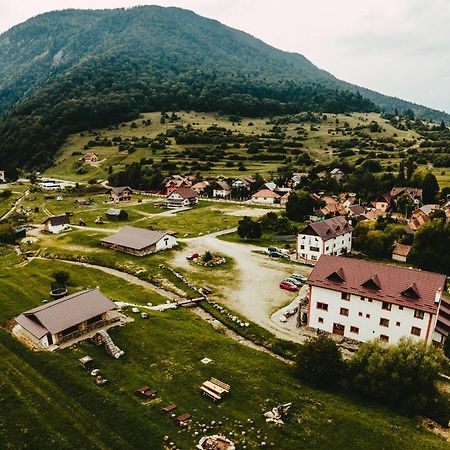 Pensiunea 3 Brazi Zărneşti Eksteriør billede