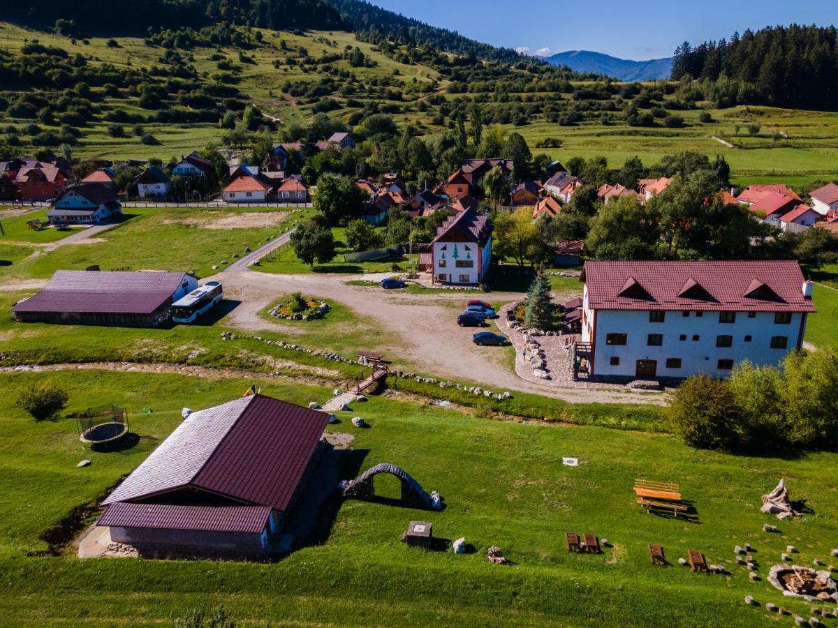 Pensiunea 3 Brazi Zărneşti Eksteriør billede