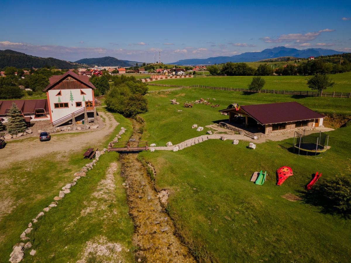 Pensiunea 3 Brazi Zărneşti Eksteriør billede