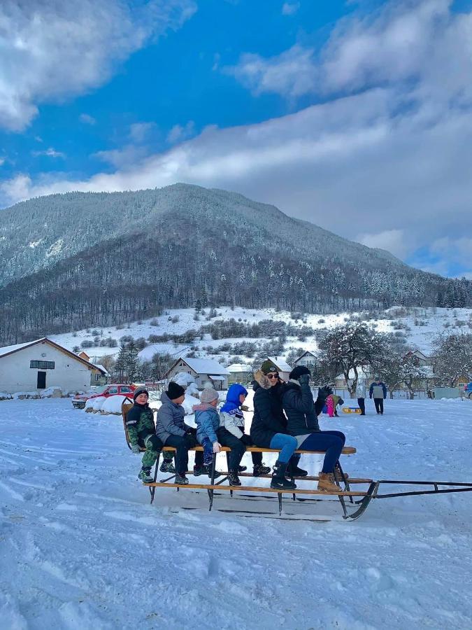 Pensiunea 3 Brazi Zărneşti Eksteriør billede