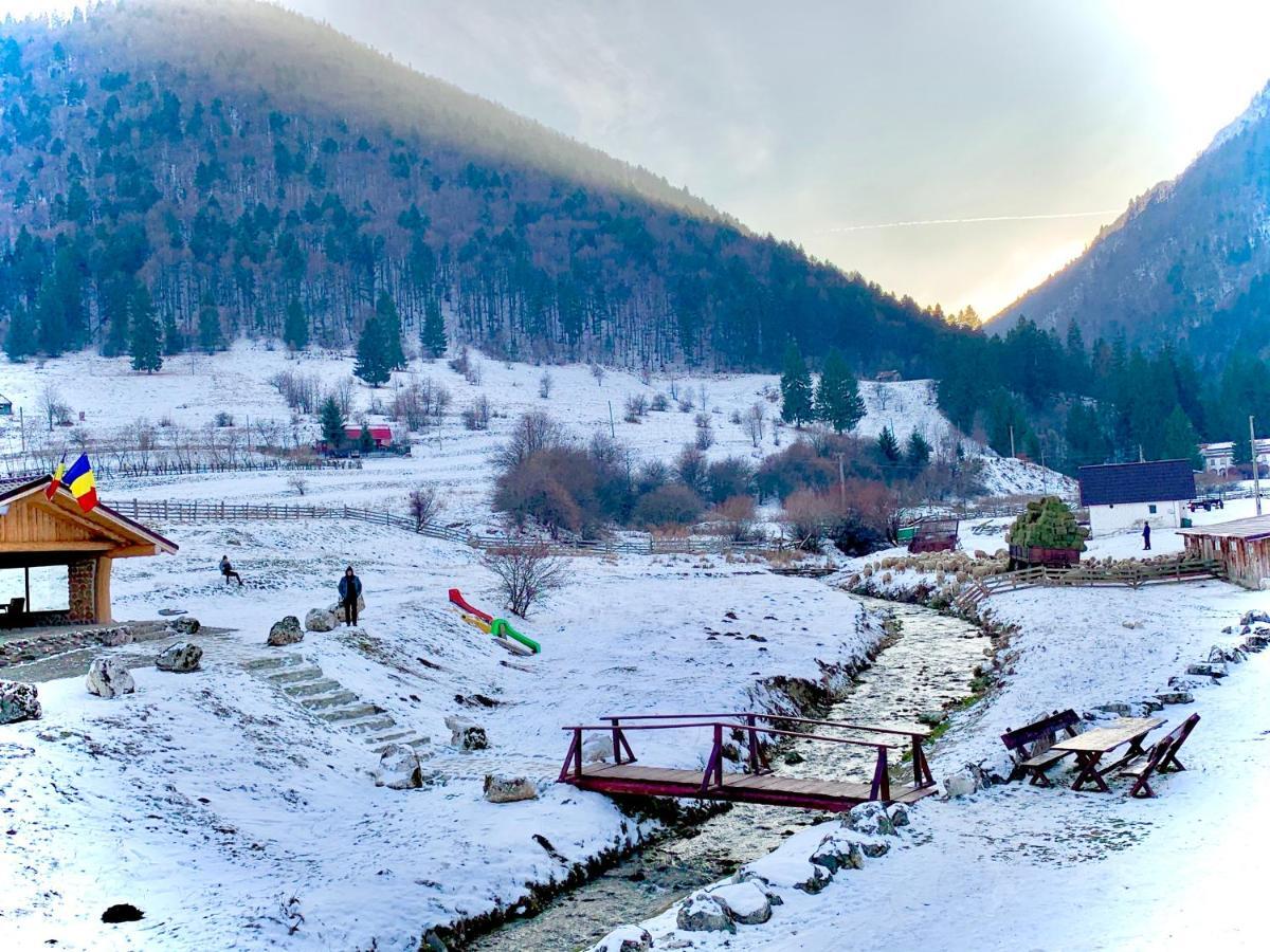 Pensiunea 3 Brazi Zărneşti Eksteriør billede